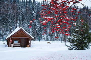 Image showing Winter holiday house in forest.