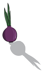 Image showing Image of bow with shadow - onion, vector or color illustration.