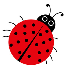 Image showing A red Ladybug, vector or color illustration.