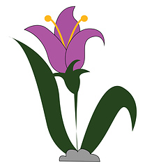 Image showing Snowdrop, vector or color illustration.