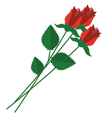 Image showing Roses, vector or color illustration.