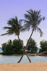 Image showing Sentosa Beach 