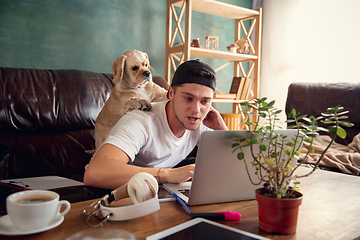 Image showing Two best friends young man and American Cocker Spaniel cream colour sitting on sofa at home and using laptop, digital gadgets.