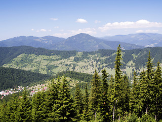 Image showing Forest landscape