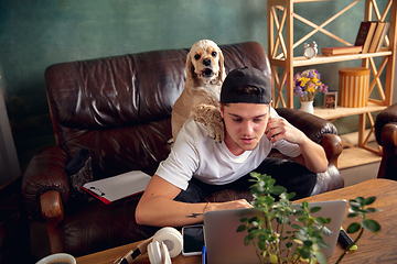 Image showing Young man sitting on sofa at home with his cute dog. Cozy office workplace, remote work, online, e-learning concept.