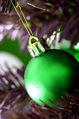 Image showing Christmas ornaments on tree.