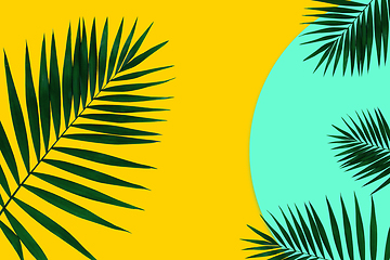 Image showing Creative banner with tropical leaves on geometric two colours yellow and blue background. Flyer for ad, design.