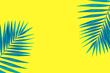 Image showing Two blue tropical palm leaves isolated on bright yellow background. Flyer for ad, design.