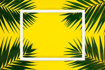 Image showing Exotic green tropical palm leaves isolated on yellow background with white geometric frame. Flyer for ad, design.