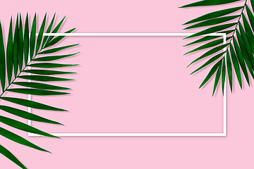 Image showing Exotic green tropical palm leaves isolated on pink background with white geometric frame. Flyer for ad, design.