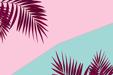 Image showing Creative banner with tropical leaves on geometric two colours pink and blue background Flyer for ad, design.