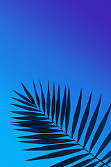 Image showing Exotic tropical palm leaf isolated on purple blue gradient background. Flyer for ad, design.