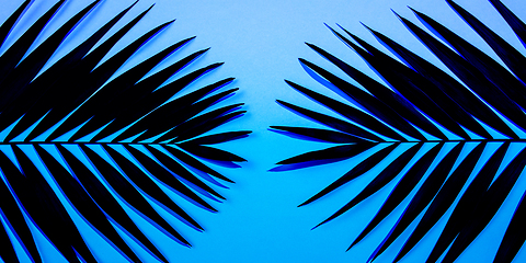 Image showing Exotic tropical palm leaves isolated on purple blue gradient background. Flyer for ad, design.