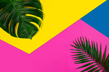 Image showing Creative banner with tropical leaves on geometric vibrant colours background. Flyer for ad, design.