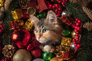 Image showing Funny little kitten isolated in Christmas and New Year toys and decorations. Greeting card, flyer for design.