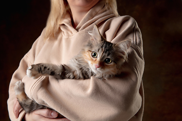 Image showing Portrait of a young woman with a kitten in her arms. Concept of pets love, animal grace, friendship.