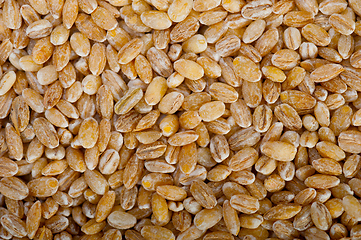 Image showing organic barley grains