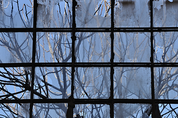 Image showing branches and broken factory window