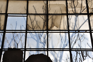 Image showing branches and broken glass background