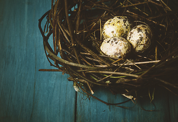 Image showing Eggs in Nest