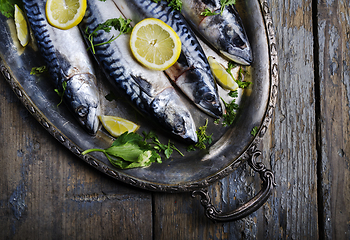 Image showing Mackerels on silver plate