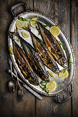 Image showing Mackerels on silver plate