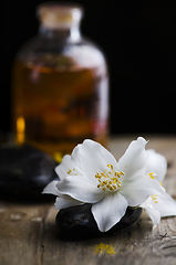 Image showing Jasmin flower and scented oil