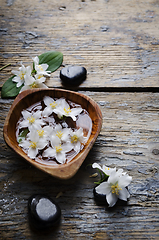 Image showing Jasmine flowers