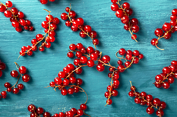 Image showing Red Currant