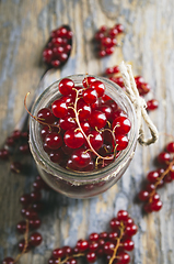 Image showing Red Currant