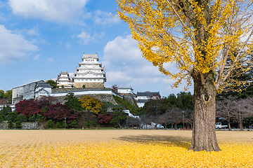 Image showing Himeji Castle with yellow ginkgo