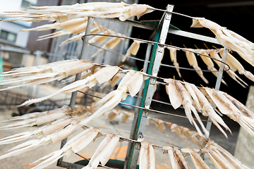 Image showing Drying squid on the stand