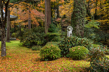 Image showing Beautiful Japanese garden with maple tree