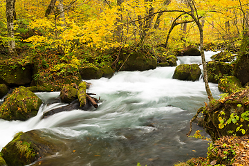 Image showing Oirase Mountain Stream in autumn 