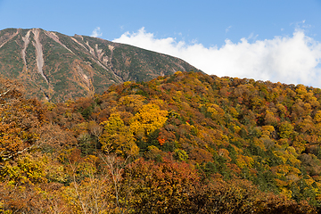 Image showing Mount Nantai and beautiful forest