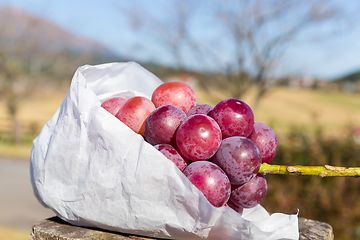 Image showing Grape