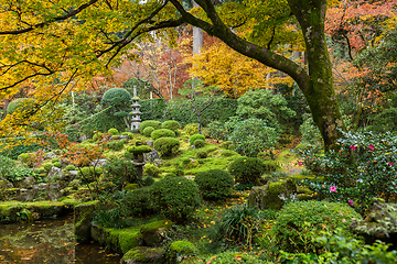 Image showing Japanese garden with autuman maple tree