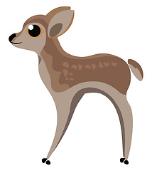 Image showing Image of baby deer, vector or color illustration.