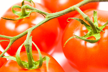 Image showing fresh tomatoes