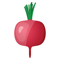 Image showing Radishes icon