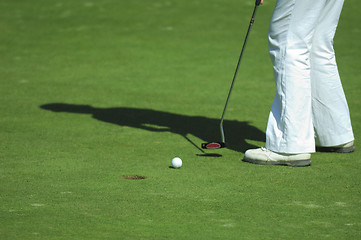 Image showing putt on golf course