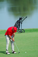 Image showing Golfer putting on green golf course