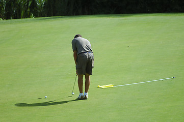 Image showing golf player on the green