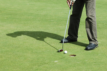 Image showing Final putt on golf course