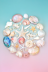 Image showing  Sea Shell and Oyster Pearl Abstract Round Globe Shape  