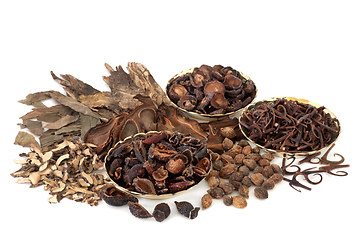 Image showing Chinese Herbs and Spice Traditional Herbal Medicine