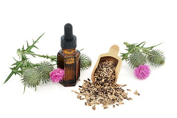 Image showing Milkthistle Natural Herbal Medicine and Dietary Supplement