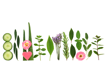 Image showing Natural Herbs and Flowers for Skincare Treatments