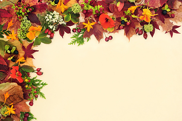 Image showing Beauty of Fall Colours Background Border