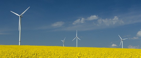 Image showing farm of windturbines close to rape field 